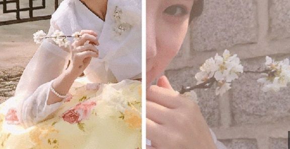 기사 대표 이미지:예정화 측 추가입장 “손에 든 건 벚꽃소품…매화나무 훼손 아냐”