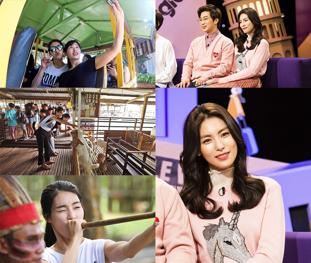 기사 대표 이미지:싱글와이프2 김정화, 기이한 목장 체험에 열광…독침 피리까지?