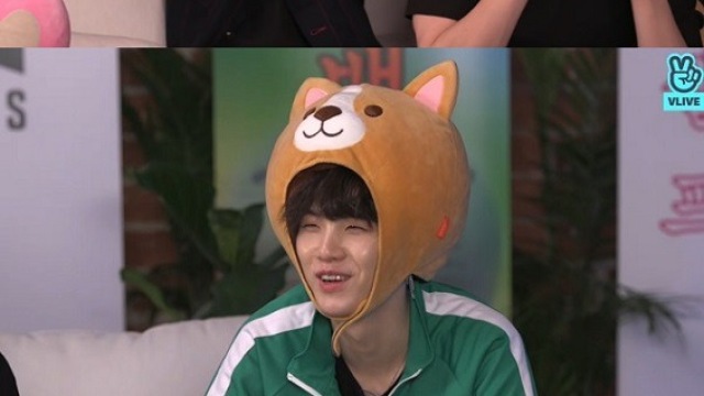 BTS 슈가-뷔-정국, 시바견 모자 쓰고도 이렇게 귀여우면 반칙