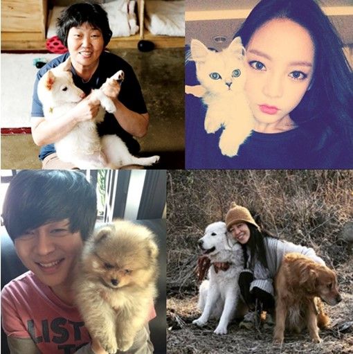 기사 대표 이미지:구하라X임순례X장필순X윤도현, 순천 가는 이유는?