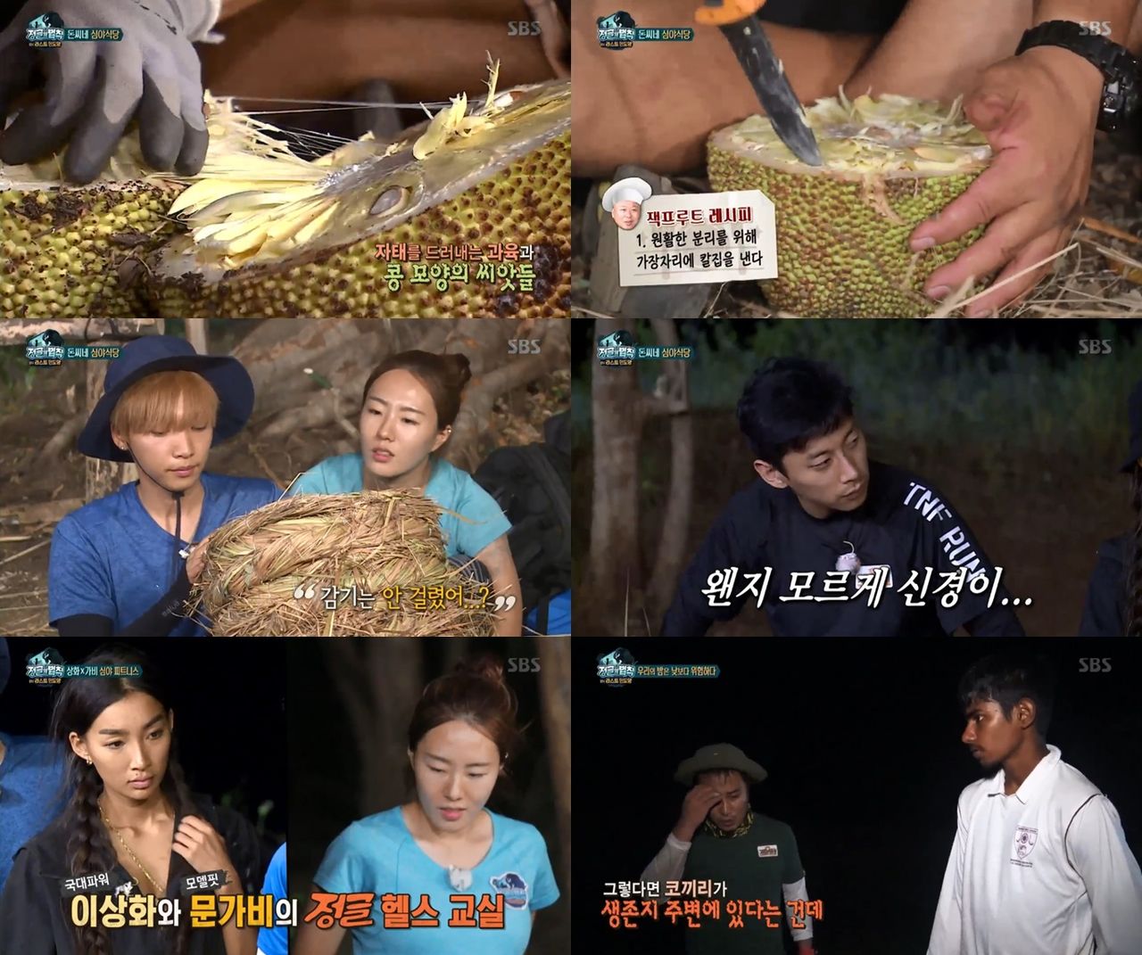 기사 대표 이미지:정글의 법칙 이상화·곽윤기·정세운, 미묘한 삼각관계…야생코끼리와 위험한 공존