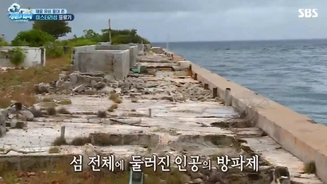 정법