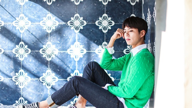 박보검