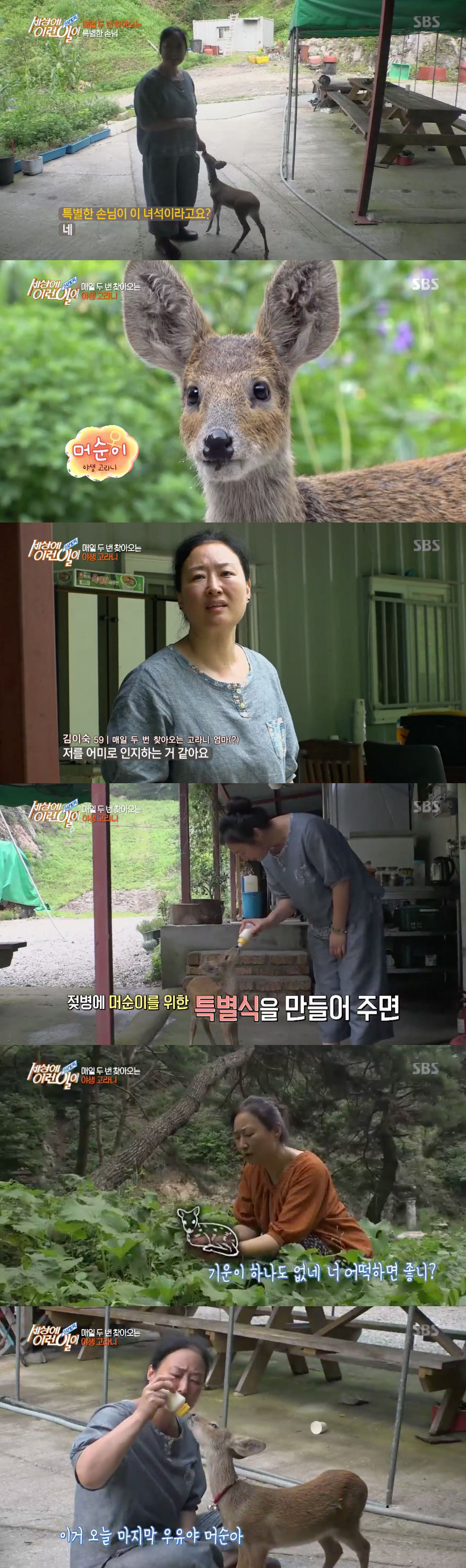 세상