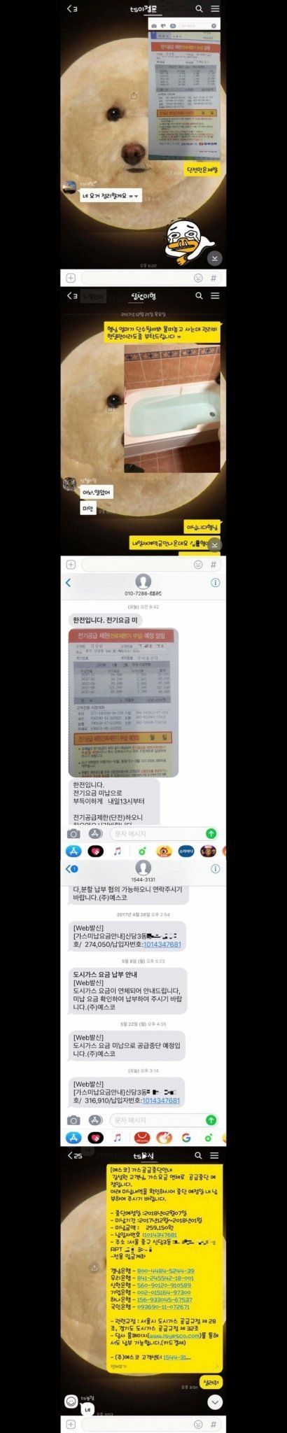 이미지