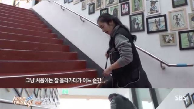 세상에