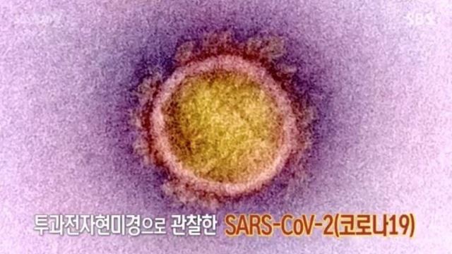 스페셜
