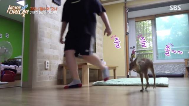 세상