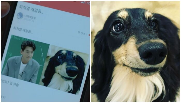 정경호