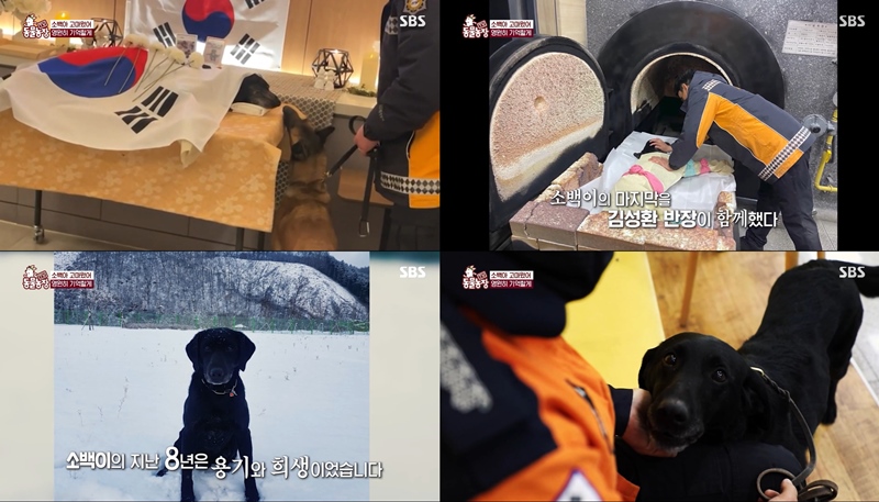 동물농장