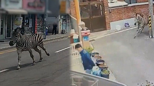 궁금한이야기
