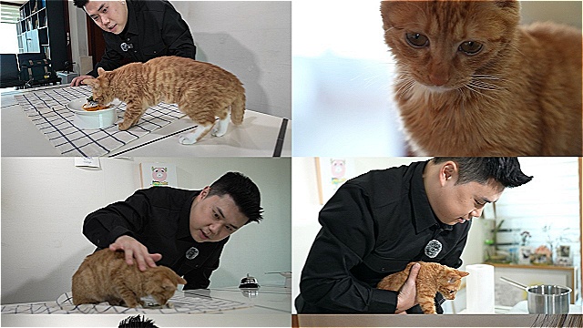 'TV동물농장' 권성준 셰프, 고양이용 다이닝 도전&hellip;냥발장 '노래' 위한 음식은?
