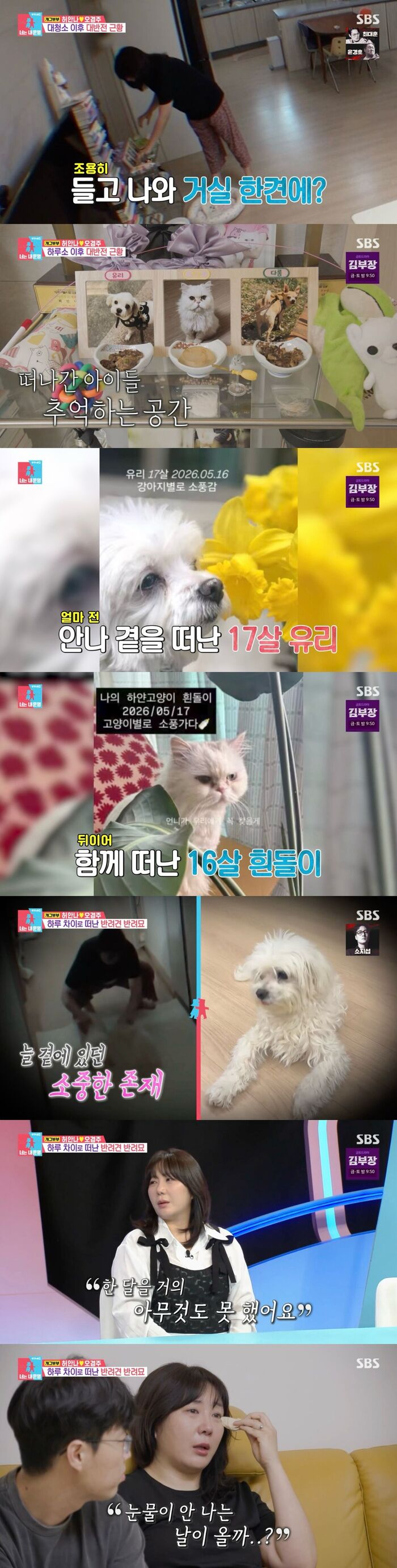 Heo An-na Mourns the Loss of Her Beloved Pets on You're My Destiny