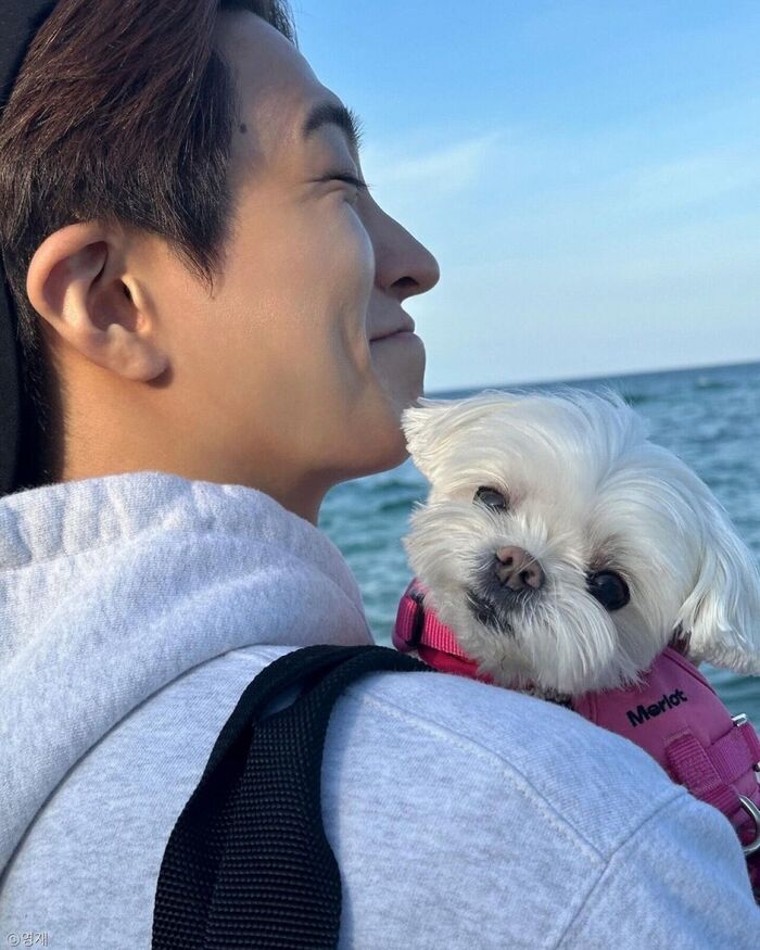 GOT7 YOUNGJAE Donates 10 Million Won to Stray Dog Shelter for His Birthday