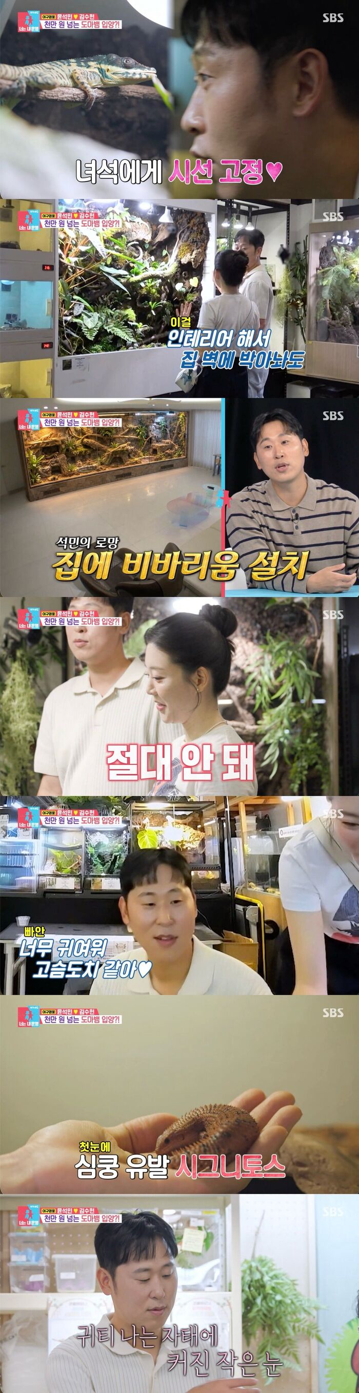 Yoon Suk-min Reveals His Dream of a Giant Living Room Vivarium on 'You're my destiny'
