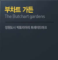 Ʈ 