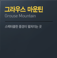 ׶콺 ƾ