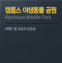 ķ콺 ߻ 