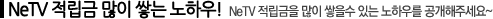 NeTV ������ ���� �״� ���Ͽ�