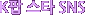 K�� ��Ÿ SNS