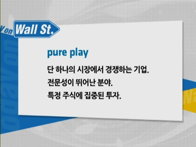  pure play = �� �ϳ��� ���忡��...