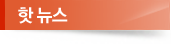 핫뉴스