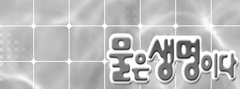 물은 생명이다.
