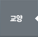 교양
