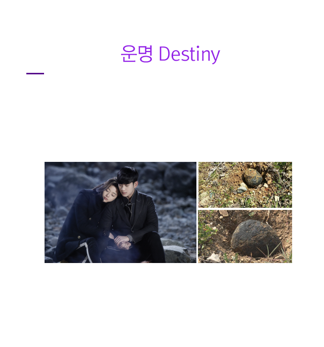 Zone5 운명 Destiny 이미지