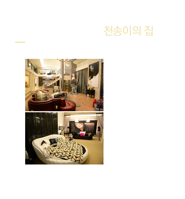 Main Zone2 천송이의 집 이미지