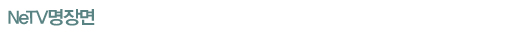 NeTV�����