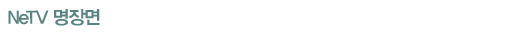 NeTV�����