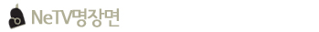 NeTV�����