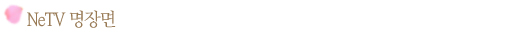 NeTV�����