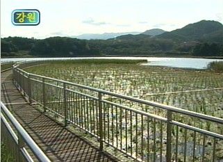 [강원] 동해안 석호 생태복원 사업 착수