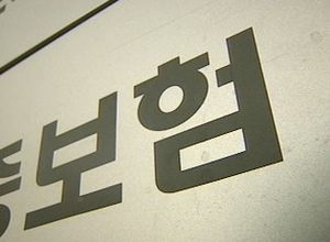 보험사에 권력출신 대거 포진&hellip;내부 불법은 외면