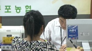 "시중은행, 무자격자에 수백억 새희망홀씨 대출"