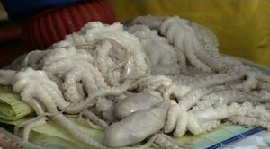 낙지 살인사건 '호흡곤란 가능성 배제 못해' 무죄