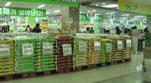 1인당 쌀소비 10년전보다 20.8㎏ 줄어