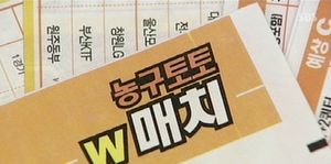 '우후죽순' 사설복권 신고건수만 3년새 200배