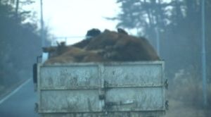 "접종안하면 도축도 못한다"&hellip;충북도 정부와 협의