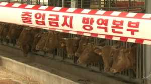 박준영 전남지사, '구제역&middot;AI호소문' 발표