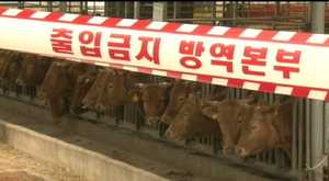 김해&middot;공주에서 구제역 또 발생