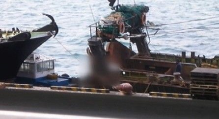 갓 잡은 오징어를&hellip;기업형 수산물 절도단 적발