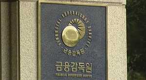 4개월 동안 눈 먼 검사&hellip;금감원, 알고도 은폐?