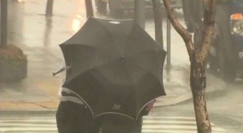올 여름 집중호우 잦고 무덥다