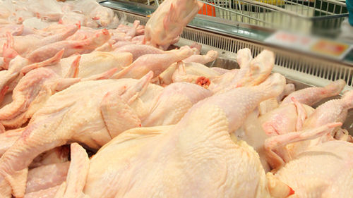 치킨 프랜차이즈 브라질산 닭고기 가공 유통업체가 필요하다면 서울 염지치킨, 경기도 염지치킨 등 전국에 배송하는 것이 중요합니다!