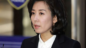 나경원 전 서울시장 후보 비방한 네티즌 벌금형
