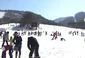 [강원] '평창 효과' 알펜시아 스키장 최대 매출