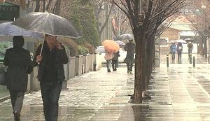 전국 봄비&hellip;내일까지 돌풍 동반 '70mm 큰 비'
